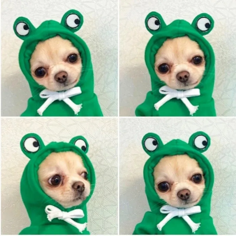 Cute Frog Pet Sweater Puppy Hoodie Pet Clothes Clothes for a Dog Jumper Apparels Dogs Accessories Clothing Dog´s Suit Outfit